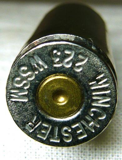 Inert 223 Winchester WSSM