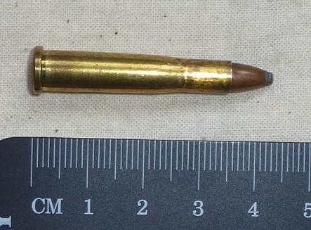 .22 Hornet